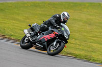 PJ-Motorsport-2019;anglesey-no-limits-trackday;anglesey-photographs;anglesey-trackday-photographs;enduro-digital-images;event-digital-images;eventdigitalimages;no-limits-trackdays;peter-wileman-photography;racing-digital-images;trac-mon;trackday-digital-images;trackday-photos;ty-croes